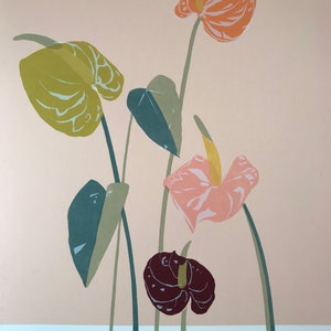 Anthuriums