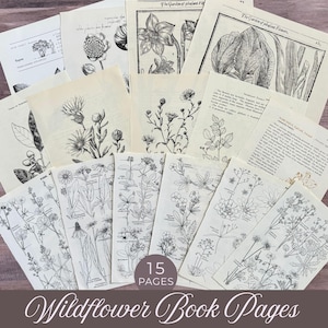 Vintage Wildflowers Book Pages, Floral Illustrations, Botanical Paper, Junk Journals, Foliage Ephemera, Flower Prints