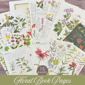 Full color Vintage Wildflowers Book Pages, Floral Illustrations, Botanical Paper, Junk Journals, Foliage Ephemera, Flower Prints