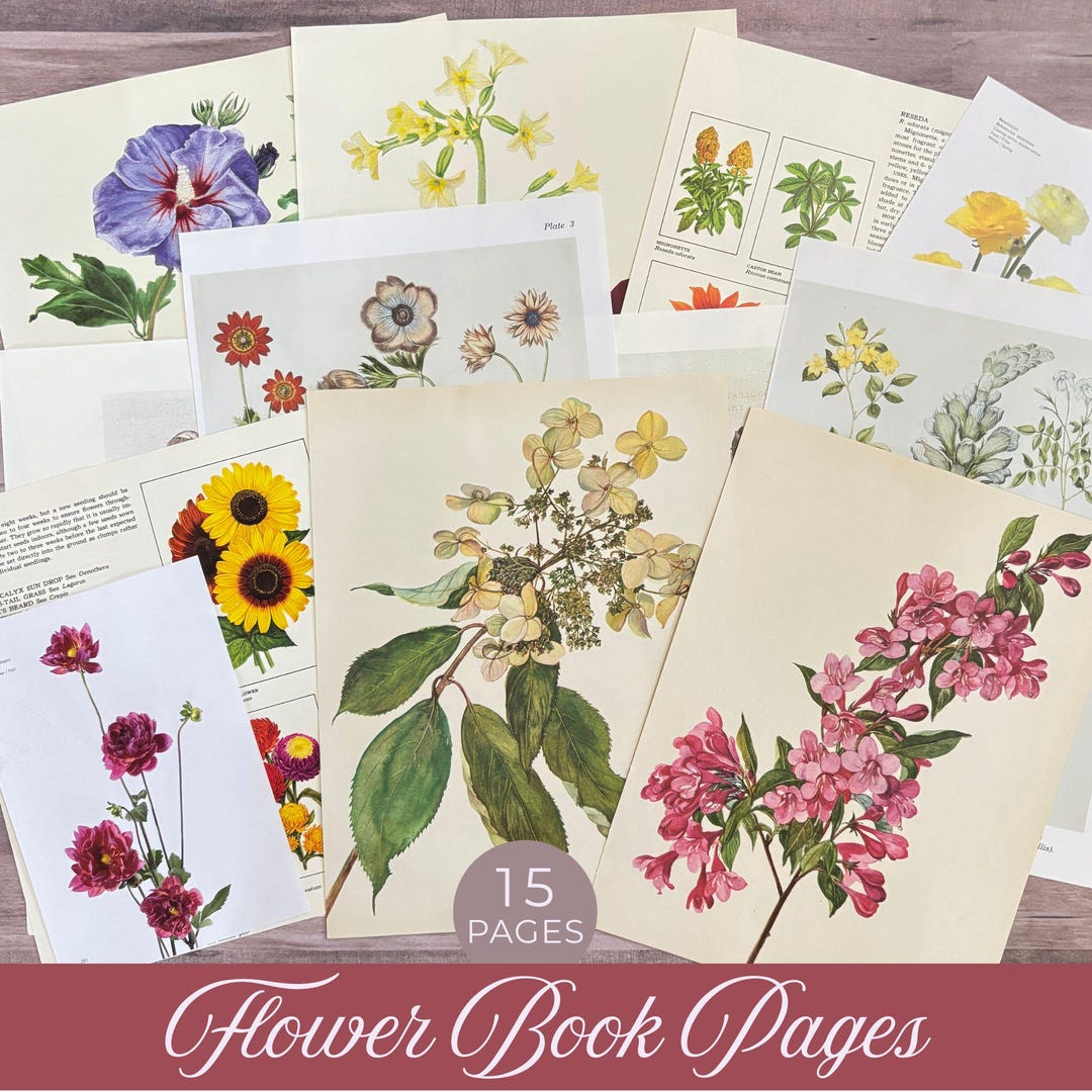 Full Color Flower Book Pages, Floral Illustrations, Botanical Paper ...
