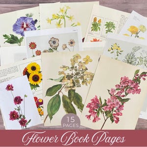 Full color Flower Book Pages, Floral Illustrations, Botanical Paper, Junk Journals, Foliage Ephemera, Flower Prints