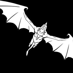 May include: A black and white illustration of a flying dragon with large wings and a spiky head.