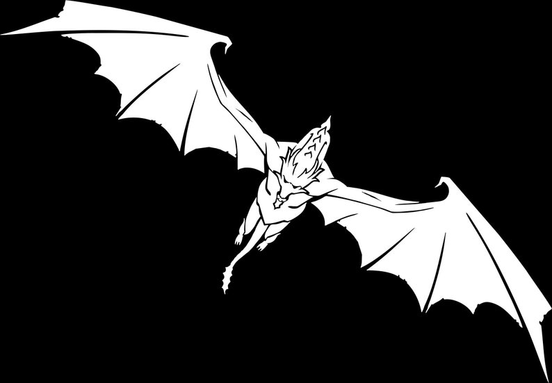 May include: A black and white illustration of a flying dragon with large wings and a spiky head.