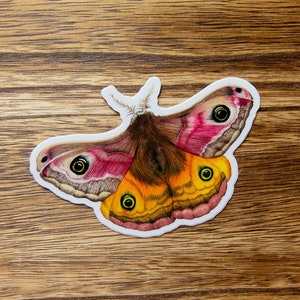 Kaiser Motten Sticker