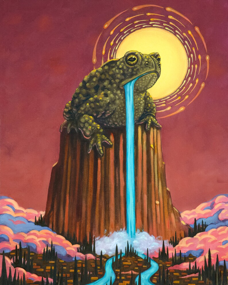 The Lost Prince of Wyoming Toad and Waterfall Fine Art - Etsy