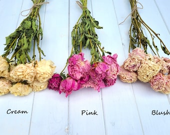 Dried peony bouquet, dried peony bunch, dried peonies for weddings, dried flowers for vase, rose substitute, peonies, pink peony