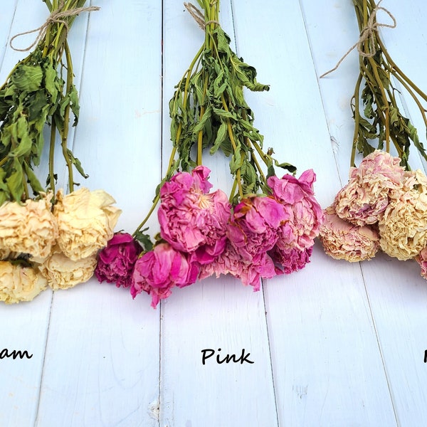 Dried peony bouquet, dried peony bunch, dried peonies for weddings, dried flowers for vase, rose substitute, peonies, pink peony