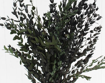 Eucalyptus: Preserved-Dried Parvifolia Teardrop Bunch - Green, Wedding, Bouquet, Decor, DIY