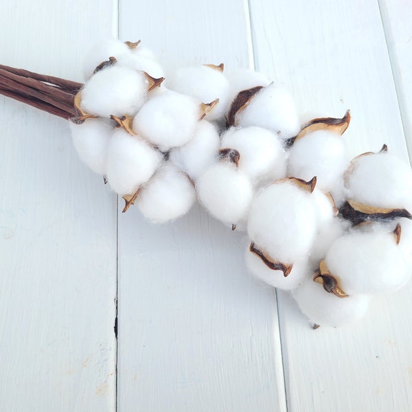 13" 18" Cotton Stem, Cotton Balls, Branches, Bunch, Wedding, Rustic, Country, DIY, Flowers, Floral, Anniversary, Farmhouse, stems, white