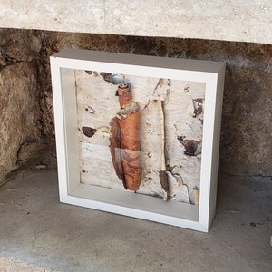 Zeitgenössische organische Arbeit, Naturalist Kunstwerk, Birken Baum Kunst, Upcycled nachhaltige Materialien Wandbehang Dekor, Wohnkultur.