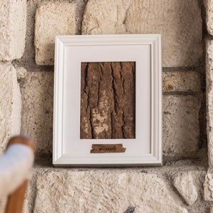 Zeitgenössische organische Arbeit mit Rahmen, Treibholz Kunstwerk, Wandbehang Baumrinde, Holzgeschenk für Liebhaber des Wildlebens.