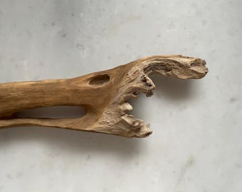 1 Piece Driftwood Art. Driftwood sculpture. Home Decor.