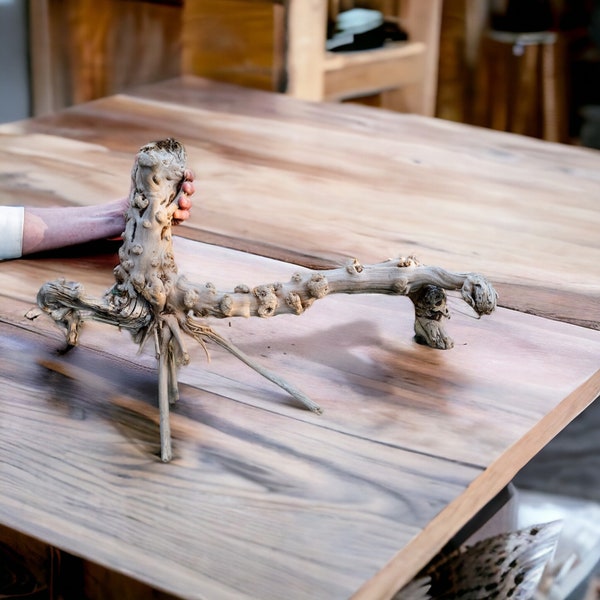 Décoration d'intérieur naturaliste, sculpture en racine de bois flotté, exposition d'art sur bois, bois flotté et branches, matière première, décoration d'aquarium en bois flotté.