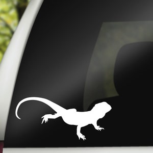 Reptile Decal, Gecko Decal, Lizard Decal, Reptile Tank Decal, Laptop Decal, Water Bottle Decal