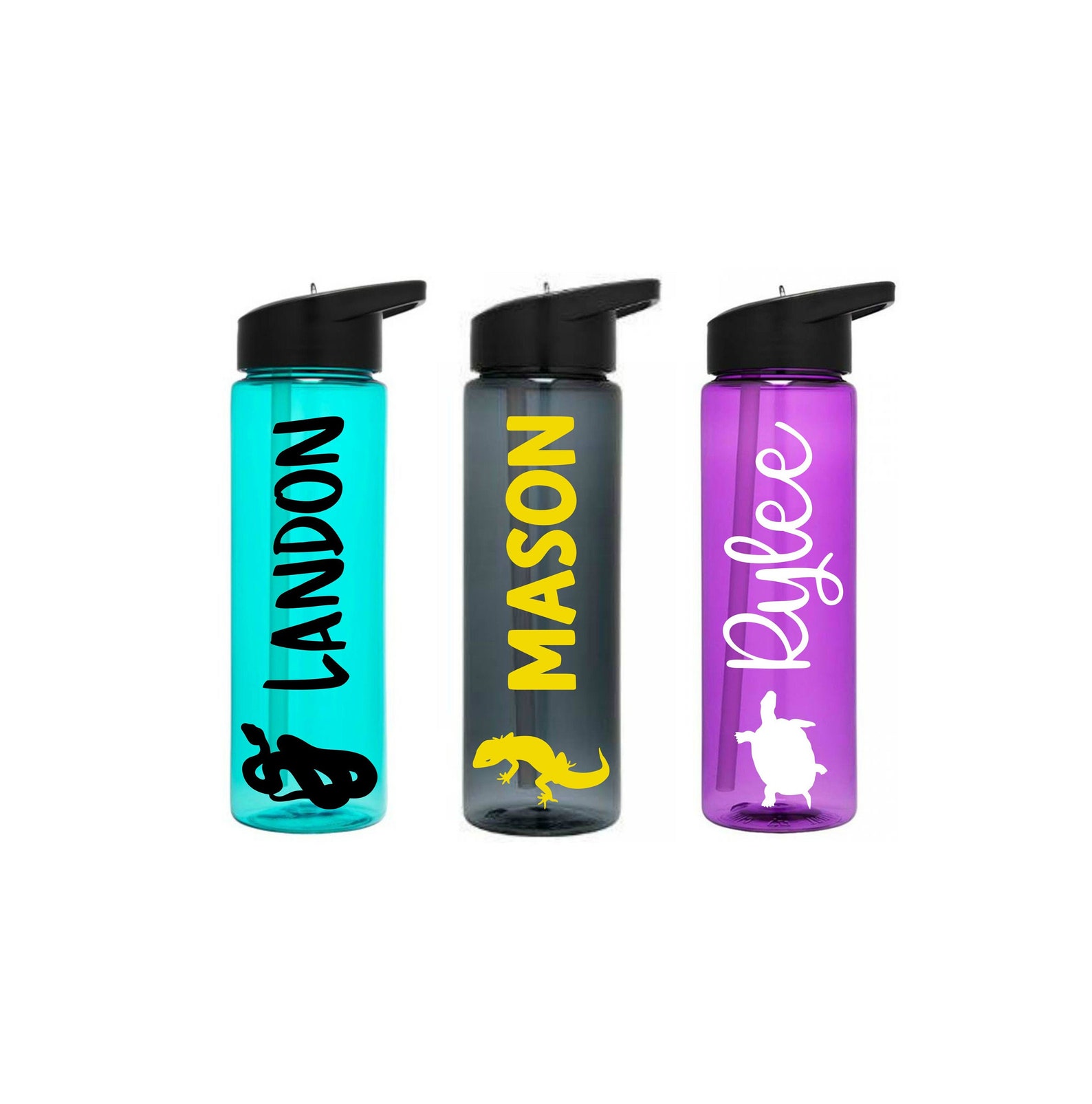 Reptile Water Bottle Snake Lover Gift Turtle Gifts Reptile Etsy