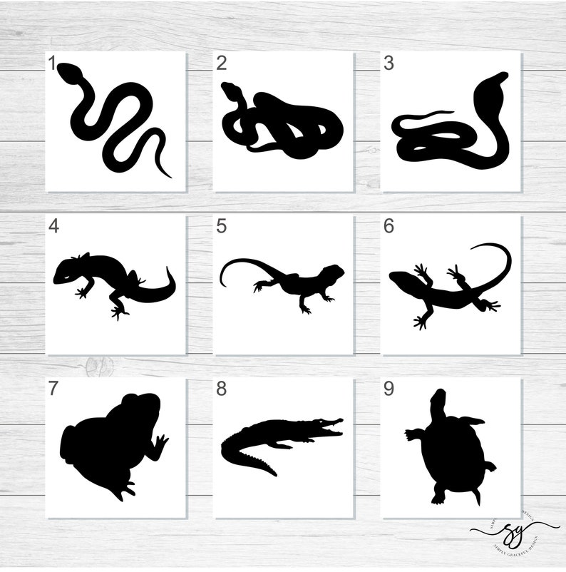 May include: Nine black silhouette images of animals, numbered 1 through 9. The animals are a snake, a cobra, a lizard, a crocodile, a frog, and a turtle.