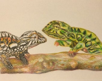 Chameleon Karma