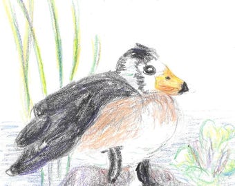 Artist Trading Cards, Postcards, and Gift Tags