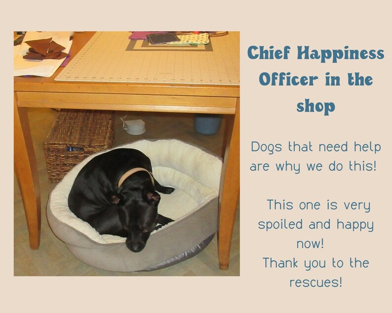 May include: A black dog is sleeping in a gray dog bed. The dog is curled up and looks comfortable. The text "Chief Happiness Officer in the shop" is written in blue text on a white background. The text "Dogs that need help are why we do this! This one is very spoiled and happy now! Thank you to the rescues!" is written in blue text on a white background.