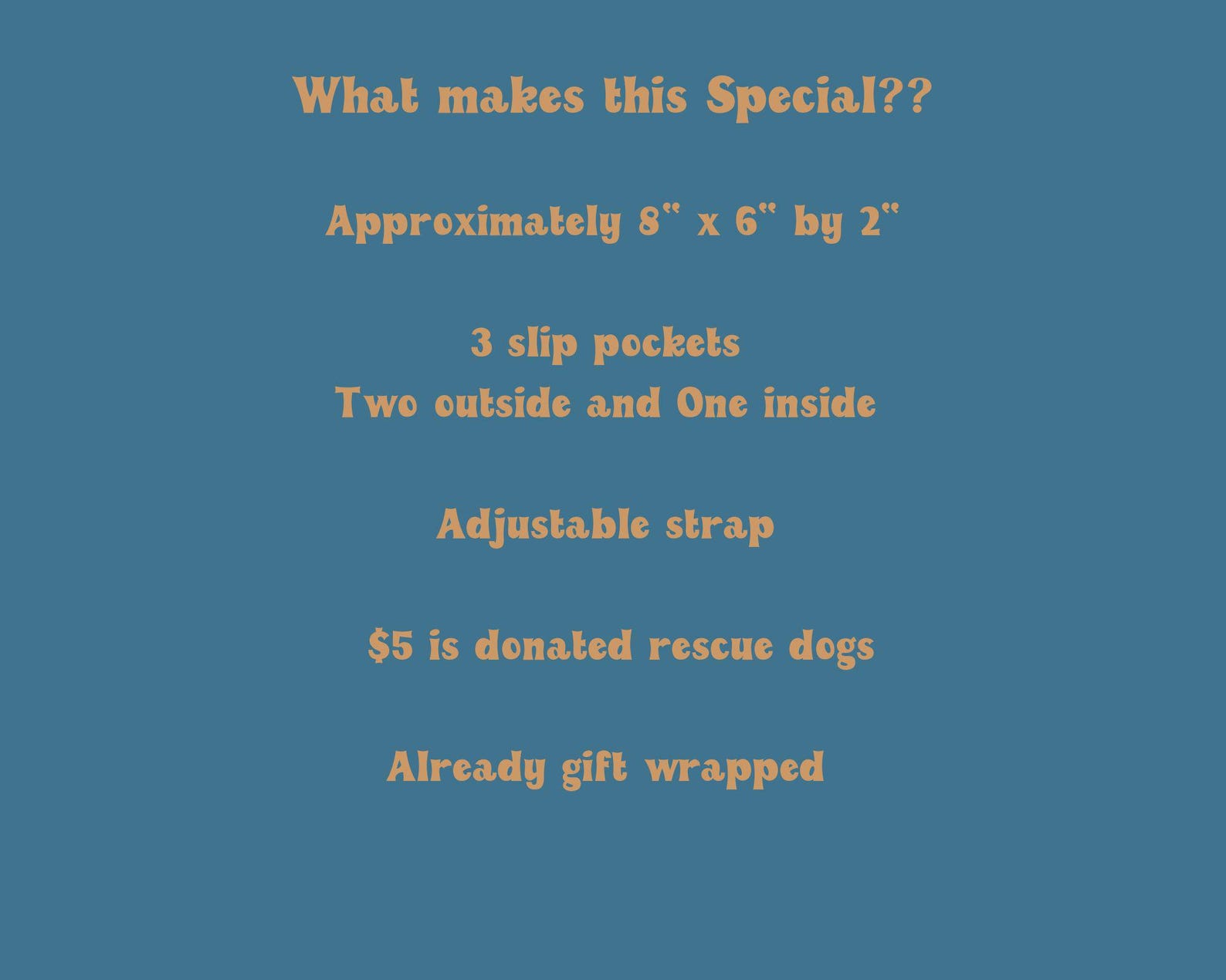 Dogs Before Dicks Travel Pouch