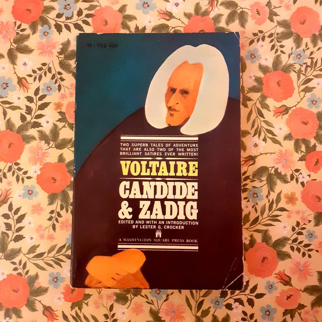 Zadig&Voltaire Candide Mini Bag - Farfetch