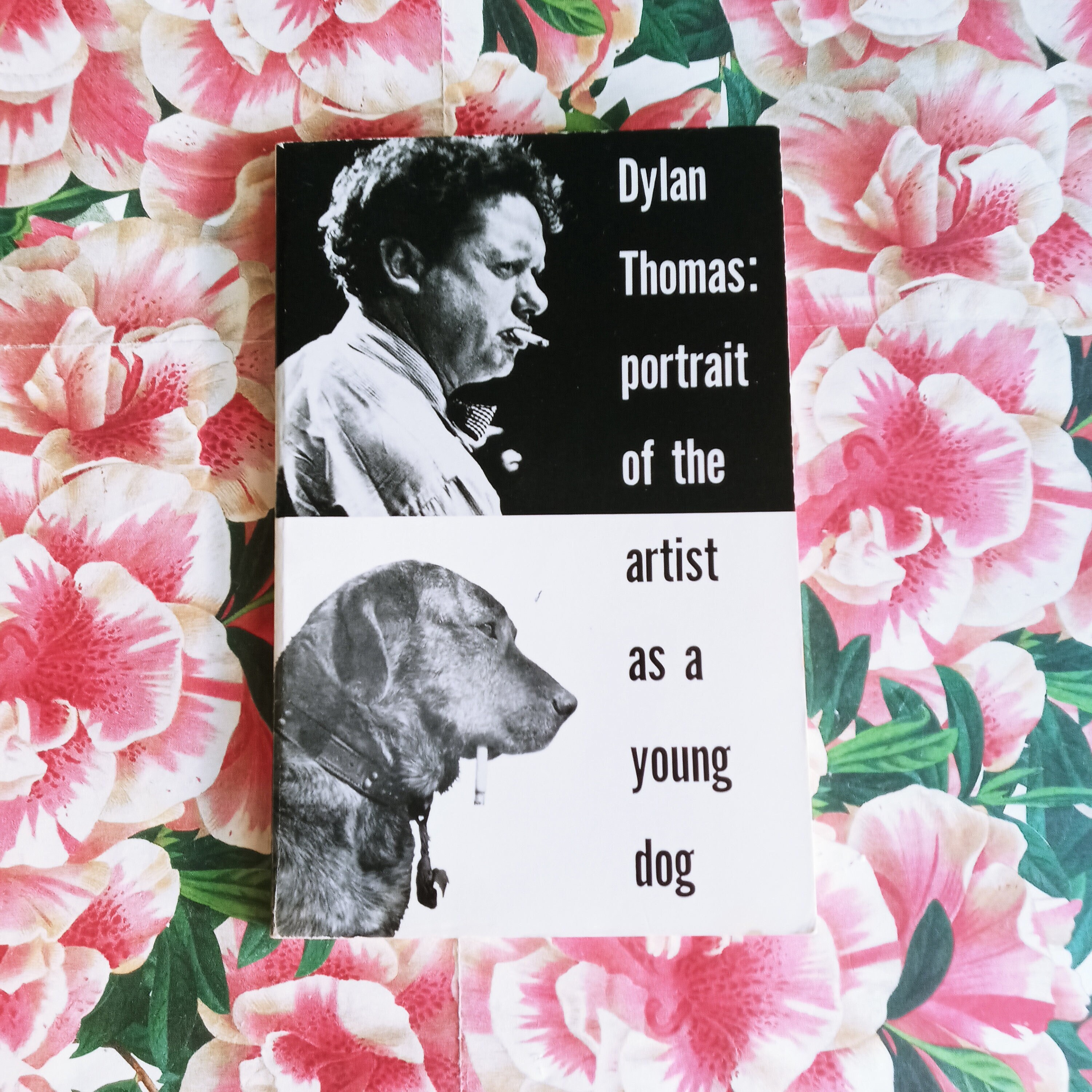 Portrait of the Artist as a Young Dog by Dylan Thomas