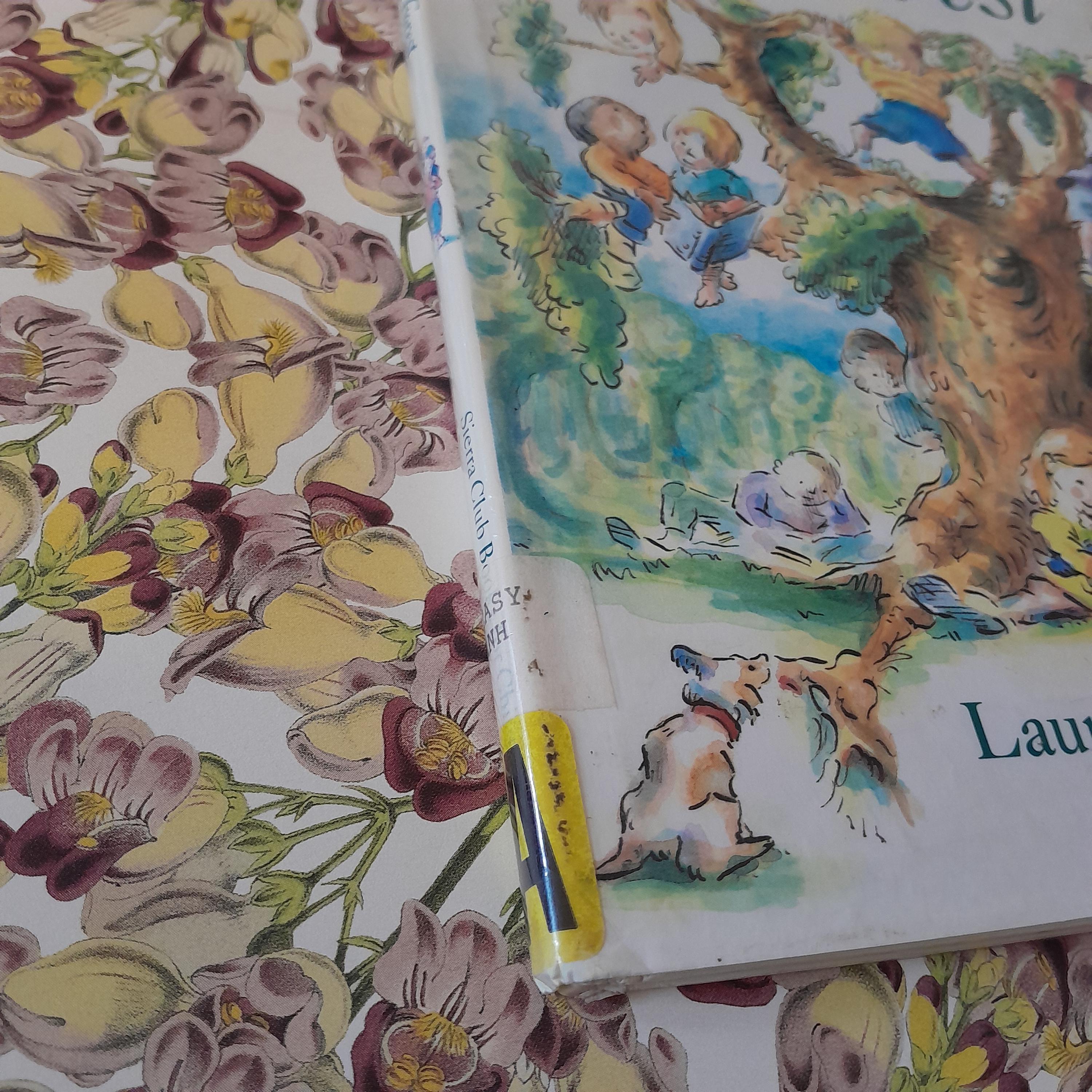 The Forgotten Forest by Laurence Anholt ~ Hardcover, 1982 ~ 1st Edition ...
