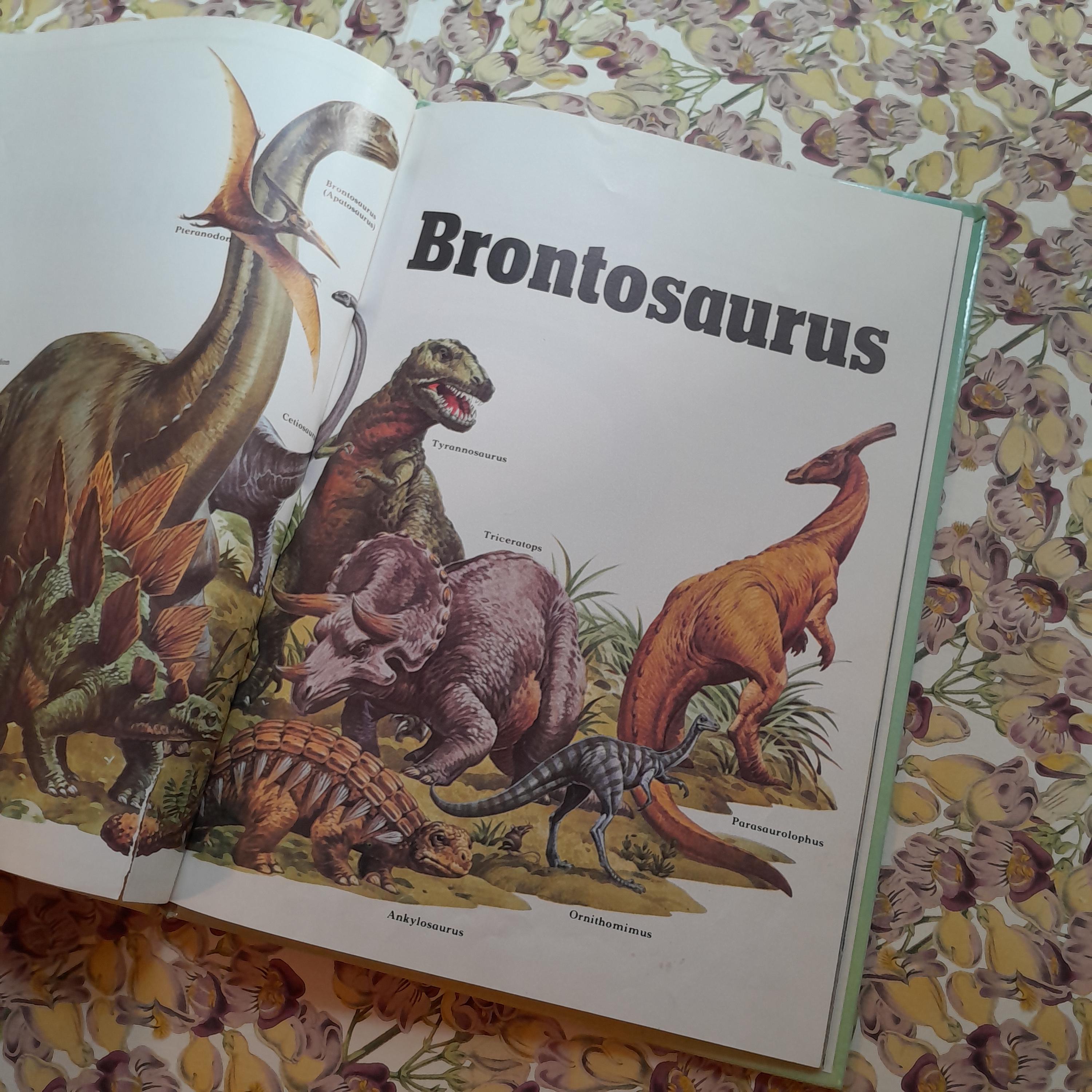Vintage Children's Book ~ Brontosaurus by Angela Sheehan - Hardcover ...