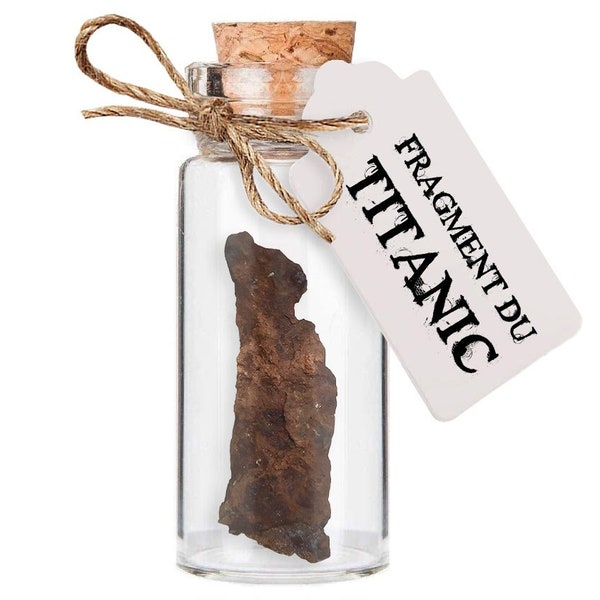 Faux fragment du TITANIC objet souvenir de la coque du paquebot, morceau de métal corrodé, cadeau parodique insolite, cabinet de curiosités