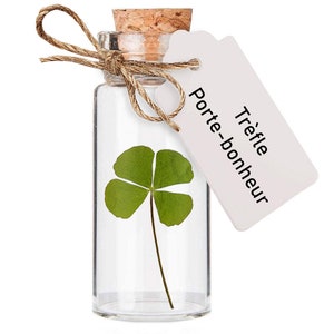 Lucky 4-leaf clover in a glass vial, gift to celebrate love, friendship, bring luck or for a cabinet of curiosities