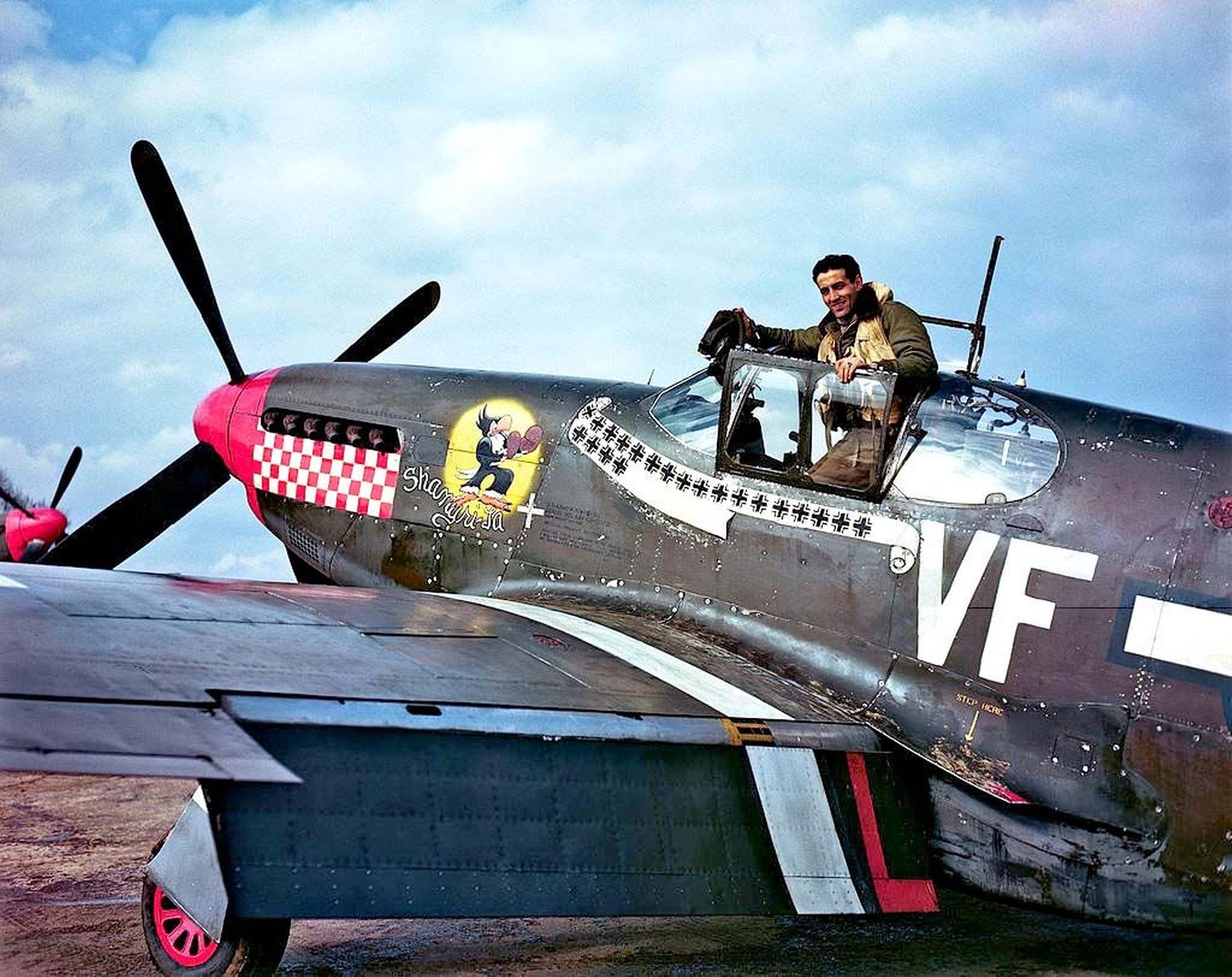 Riveted Aircraft Aluminum Nose Art Panel Shangrila WWII Etsy Canada