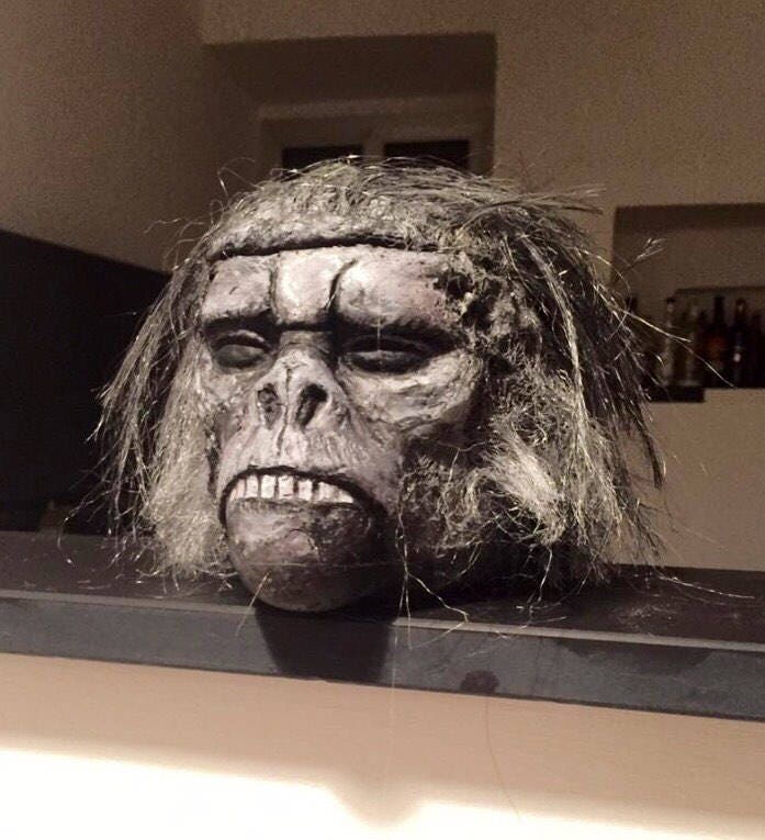 Monkey Brain - Etsy