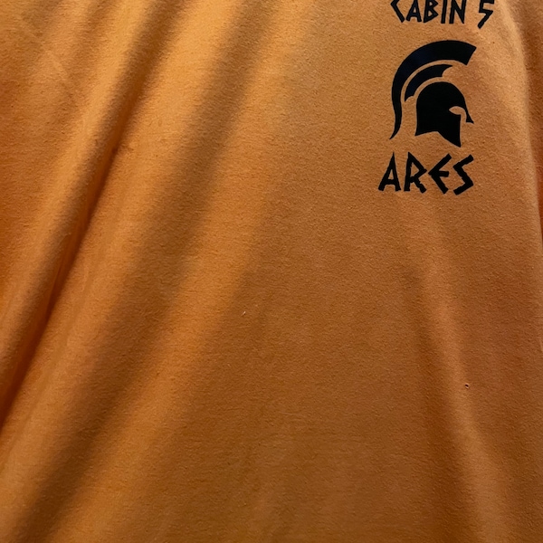 Percy Jackson Cabin Etsy