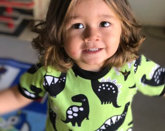 Dinosaurs boy t-shirt
