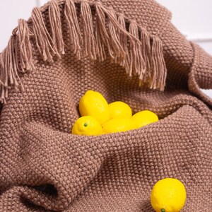May include: A brown knitted throw blanket with fringe edges, featuring a pile of yellow lemons nestled inside.