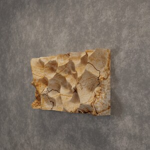 May include: A beige and brown wood wall sculpture with a textured, wavy surface. The sculpture is mounted on a grey wall.