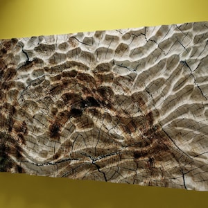 May include: A large, wooden wall art piece with a carved, textured surface. The wood is a light brown colour with darker brown accents. The surface is reminiscent of tree bark or a weathered landscape.