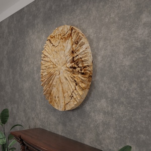 Puede incluir: Una gran escultura de pared redonda de madera de color marrón claro y beige. La escultura tiene una forma orgánica única con un patrón radial.