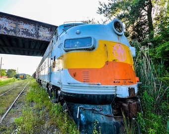 May include: An old, colorful train sits on a track, partially obscured by overgrown grass and foliage. The train's front is painted in shades of blue, yellow, and orange, with a circular emblem. A rusty bridge spans the tracks above the train.