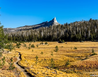 The Yosemite Collection (Digital Download II)