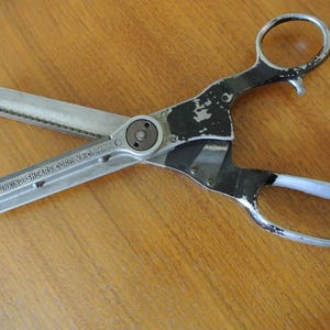 Pinking 2024 shears spotlight