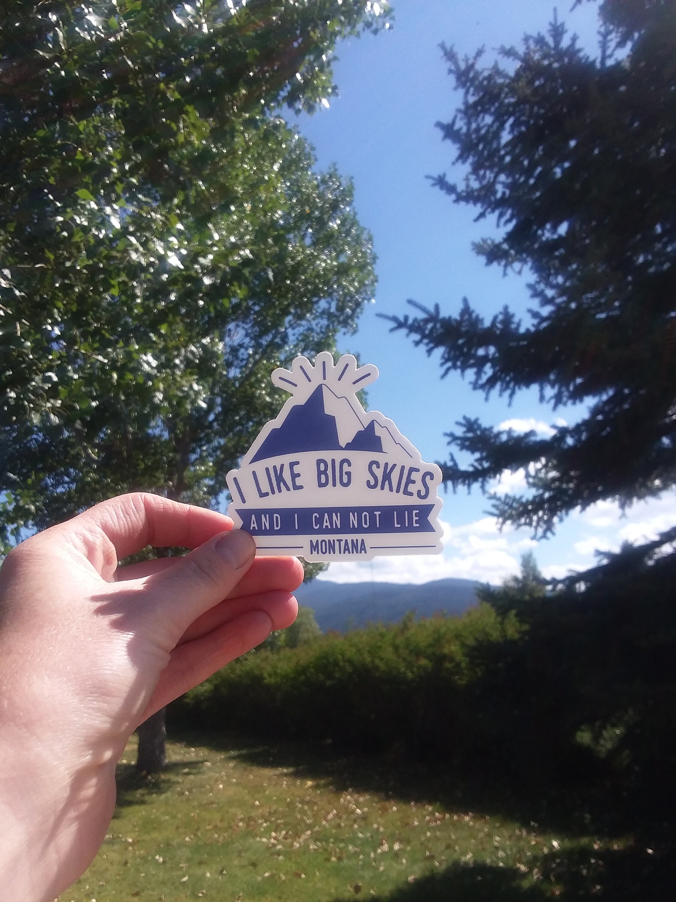 I Like Big Skies and I Can Not Lie - Montana Sticker, Waterproof Vinyl ...