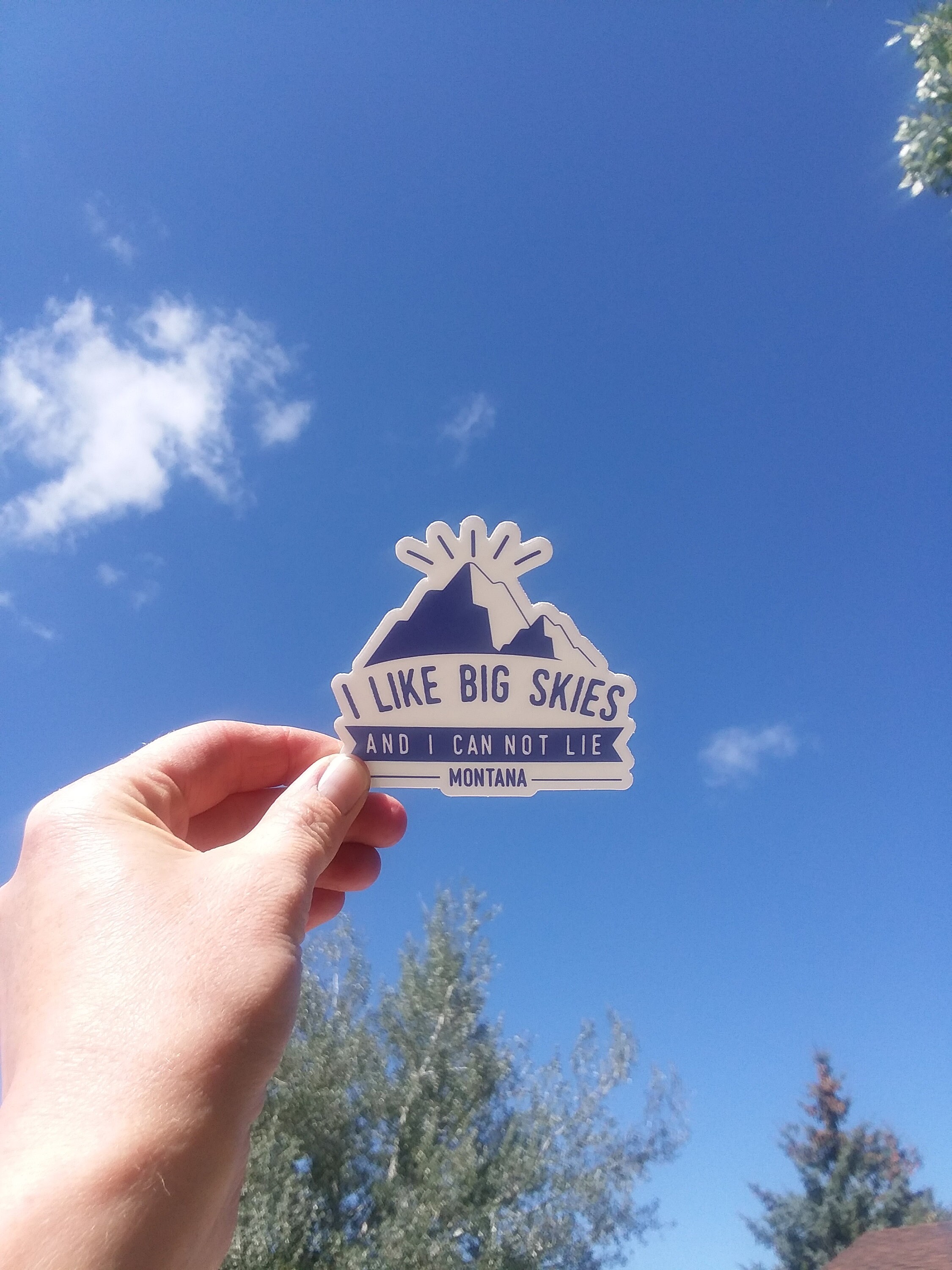 I Like Big Skies and I Can Not Lie - Montana Sticker, Waterproof Vinyl ...