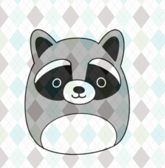 Raccoon squishmallow best sale
