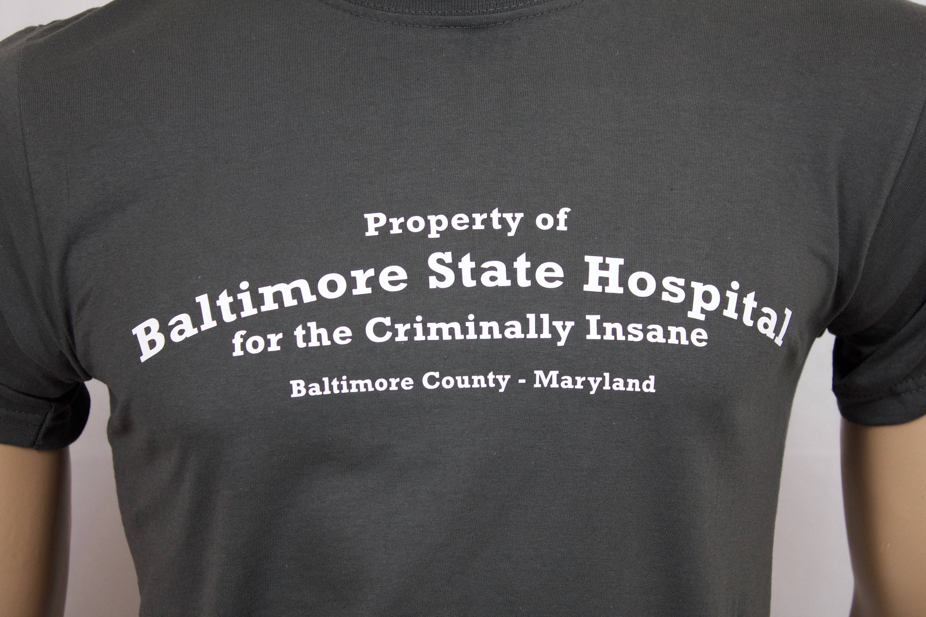 Silence of the Lambs Inspired Baltimore State Hospital Regular Etsy