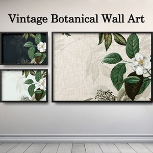 Set of 3 Vintage Botanical Wall Art, Floral Wall Art Printable, Vintage Print Set, Flower Wall Art, Digital Download