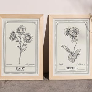 Orchideen- und Gänseblümchen-Blumen-Linie Wandkunst, elegante minimalistische Blumenillustration, botanische Schwarzweiss-Skizze für moderne Wohnkultur