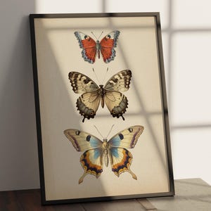 Elegant Vintage Butterfly Wall Art, Retro Butterfly Art,  Antique Butterfly Drawing,  Vintage Home Decor , Digital Printable Wall Art