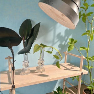 May include: A light wood table with two clear glass vases holding green plants. A large, dark-colored lamp hangs above the table. The background is a light blue wall. A plant with large, dark green leaves is on the left.