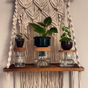 May include: Three glass plant holders with cork tops and clear water, holding three different plants. The holders are on a wooden shelf attached to a macrame wall hanging.